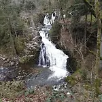 Chaleureux Des Brocards Aux Pieds Des Sapins 3 Etoiles * Allarmont