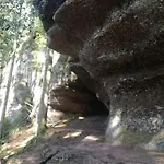 Chaleureux Des Brocards Aux Pieds Des Sapins 3 Etoiles *