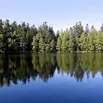 Chaleureux Des Brocards Aux Pieds Des Sapins 3 Etoiles Дом отдыха Allarmont