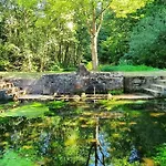 Chaleureux Des Brocards Aux Pieds Des Sapins 3 Etoiles Дом отдыха Allarmont