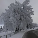 Дом отдыха Chaleureux Des Brocards Aux Pieds Des Sapins 3 Etoiles *