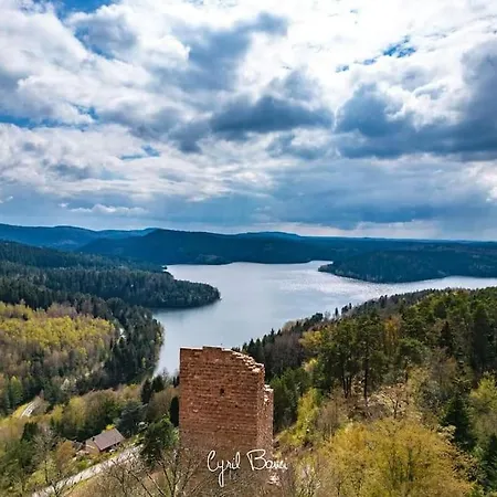 Chaleureux Des Brocards Aux Pieds Des Sapins 3 Etoiles Prázdninový dům Allarmont