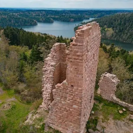 Chaleureux Des Brocards Aux Pieds Des Sapins 3 étoiles Allarmont