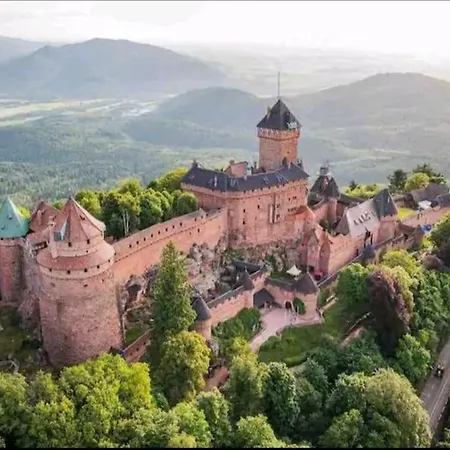 Chaleureux Des Brocards Aux Pieds Des Sapins 3 Etoiles *