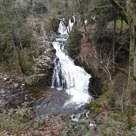 Chaleureux Des Brocards Aux Pieds Des Sapins 3 étoiles * Allarmont