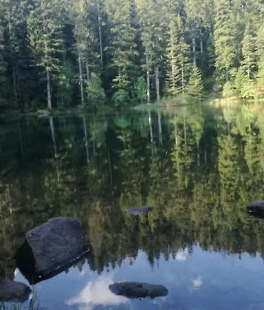 Chaleureux Des Brocards Aux Pieds Des Sapins 3 étoiles