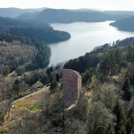 Сasa de vacaciones Chaleureux Des Brocards Aux Pieds Des Sapins 3 étoiles Allarmont
