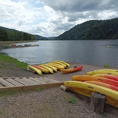 Chaleureux Des Brocards Aux Pieds Des Sapins 3 étoiles *