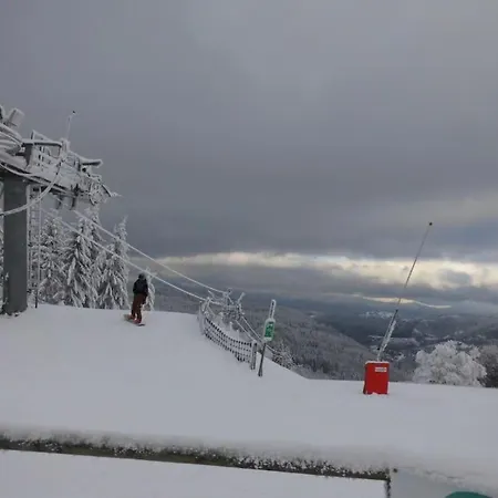 Chaleureux Des Brocards Aux Pieds Des Sapins 3 étoiles