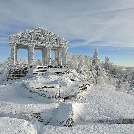 Chaleureux Des Brocards Aux Pieds Des Sapins 3 Etoiles * Allarmont