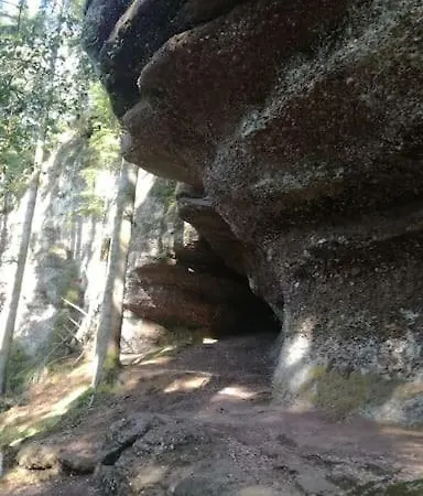 Chaleureux Des Brocards Aux Pieds Des Sapins 3 étoiles *