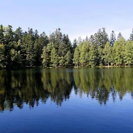 Chaleureux Des Brocards Aux Pieds Des Sapins 3 Etoiles Feriehus Allarmont