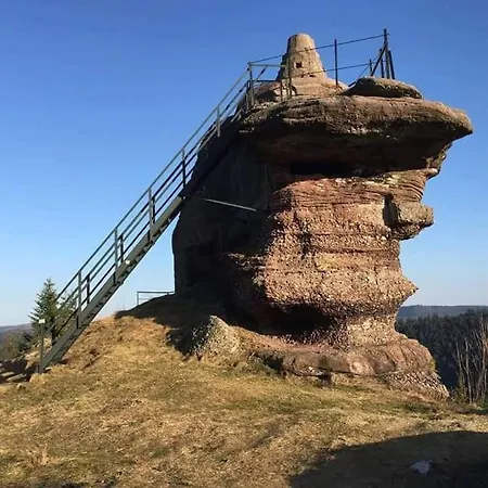Сasa de vacaciones Chaleureux Des Brocards Aux Pieds Des Sapins 3 étoiles Allarmont