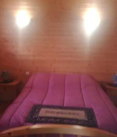 Chaleureux Des Brocards Aux Pieds Des Sapins 3 étoiles * Allarmont