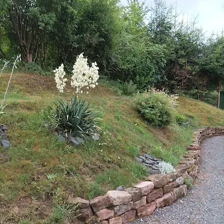 Chaleureux Des Brocards Aux Pieds Des Sapins 3 étoiles