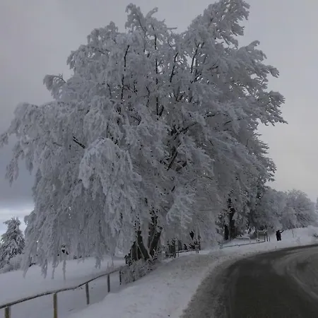 Prázdninový dům Chaleureux Des Brocards Aux Pieds Des Sapins 3 Etoiles *