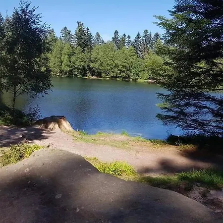 Chaleureux Des Brocards Aux Pieds Des Sapins 3 étoiles * Allarmont