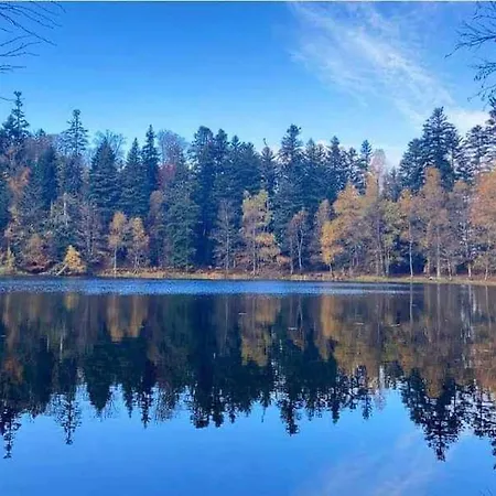 Chaleureux Des Brocards Aux Pieds Des Sapins 3 étoiles