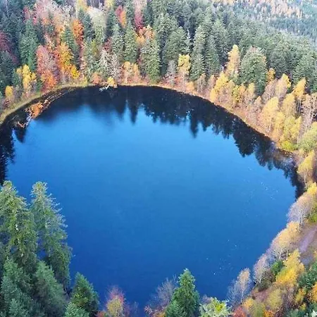 Chaleureux Des Brocards Aux Pieds Des Sapins 3 Etoiles Allarmont