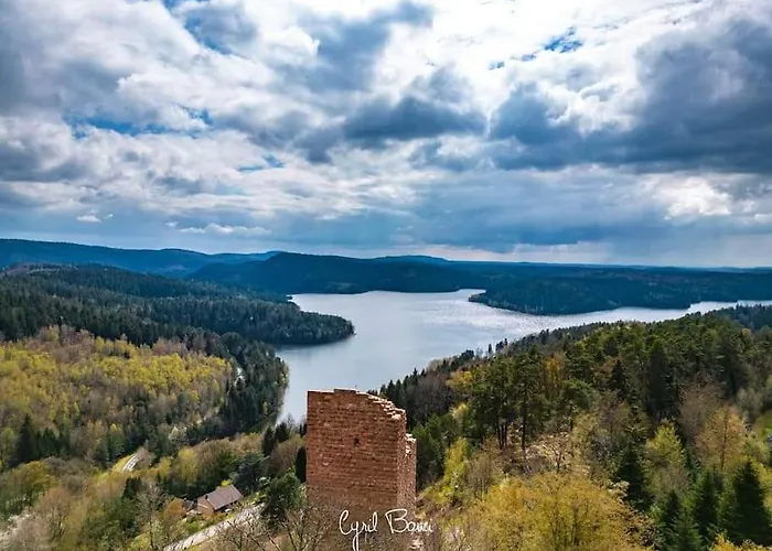 Chaleureux Des Brocards Aux Pieds Des Sapins 3 Etoiles Prázdninový dům Allarmont