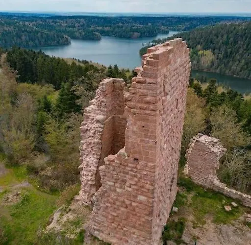 Chaleureux Des Brocards Aux Pieds Des Sapins 3 Etoiles Allarmont