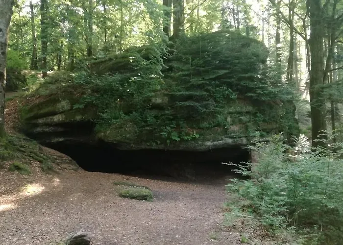 Prázdninový dům Chaleureux Des Brocards Aux Pieds Des Sapins 3 Etoiles *