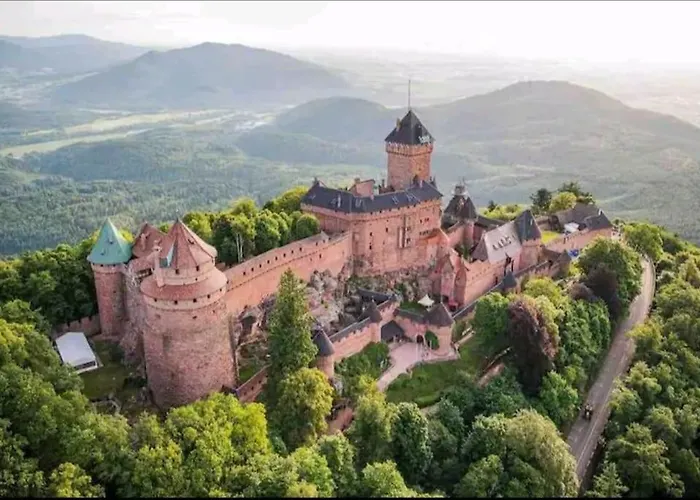 Chaleureux Des Brocards Aux Pieds Des Sapins 3 Etoiles *