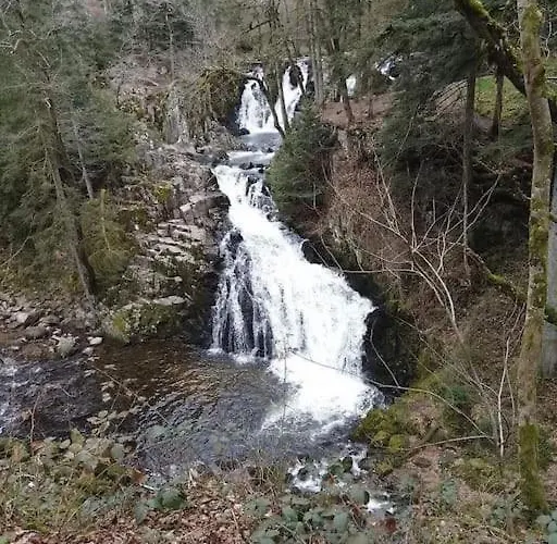 Chaleureux Des Brocards Aux Pieds Des Sapins 3 Etoiles * Allarmont