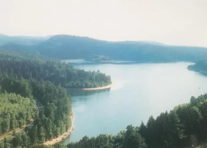 Chaleureux Des Brocards Aux Pieds Des Sapins 3 Etoiles Holiday home