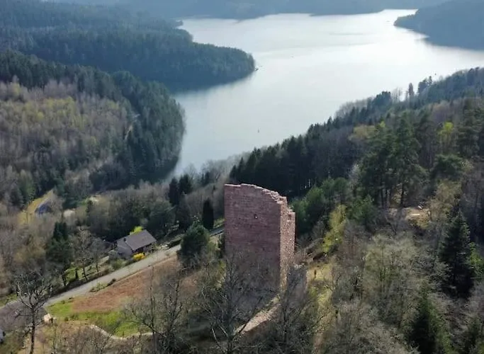 Prázdninový dům Chaleureux Des Brocards Aux Pieds Des Sapins 3 Etoiles Allarmont