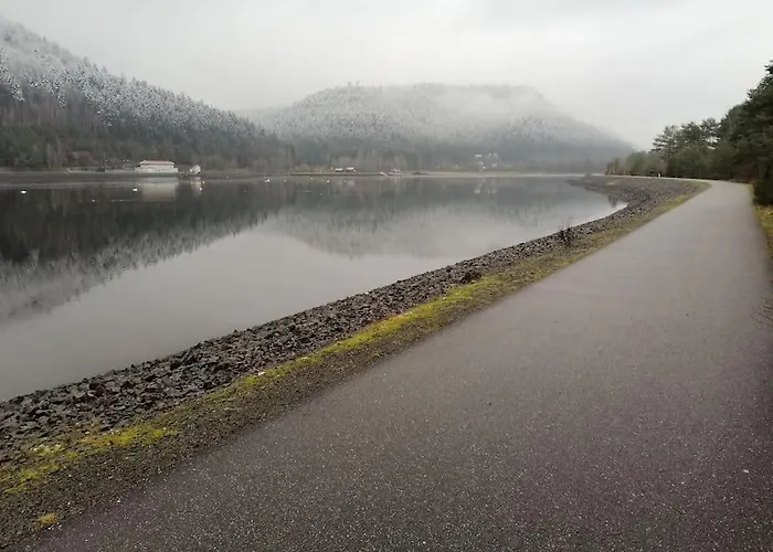 Chaleureux Des Brocards Aux Pieds Des Sapins 3 Etoiles Prázdninový dům