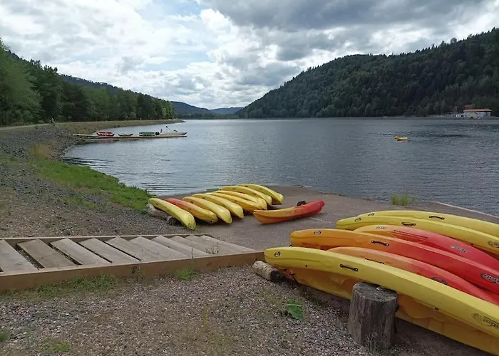 Chaleureux Des Brocards Aux Pieds Des Sapins 3 Etoiles *