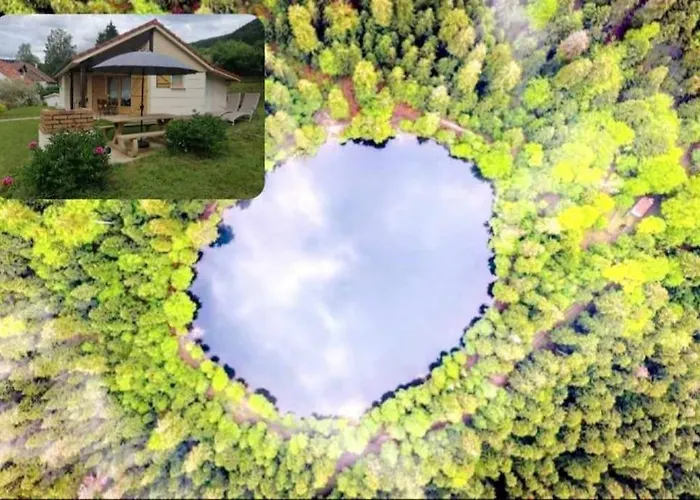 Holiday home Chaleureux Des Brocards Aux Pieds Des Sapins 3 Etoiles Allarmont