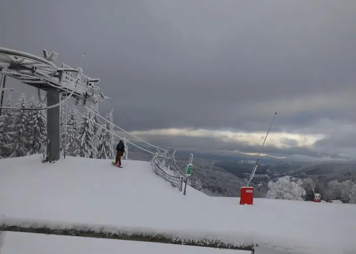 Chaleureux Des Brocards Aux Pieds Des Sapins 3 Etoiles