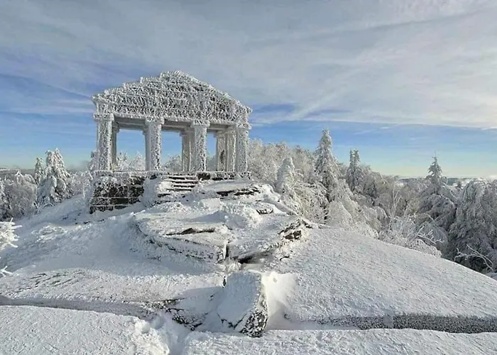 Chaleureux Des Brocards Aux Pieds Des Sapins 3 Etoiles * Allarmont