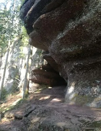 Chaleureux Des Brocards Aux Pieds Des Sapins 3 Etoiles *