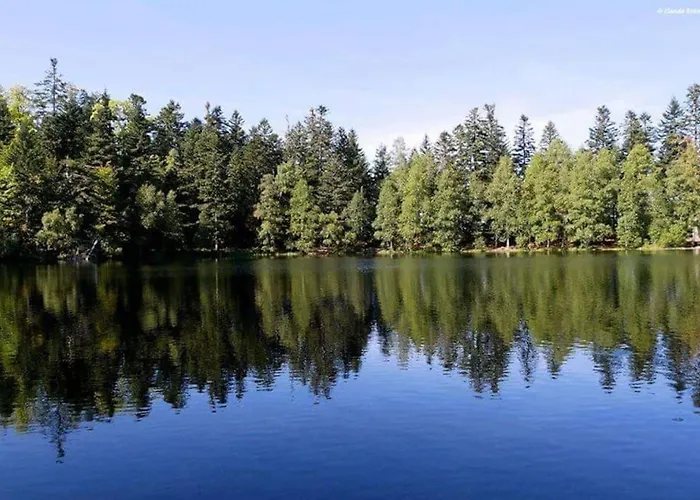 Chaleureux Des Brocards Aux Pieds Des Sapins 3 Etoiles Prázdninový dům Allarmont