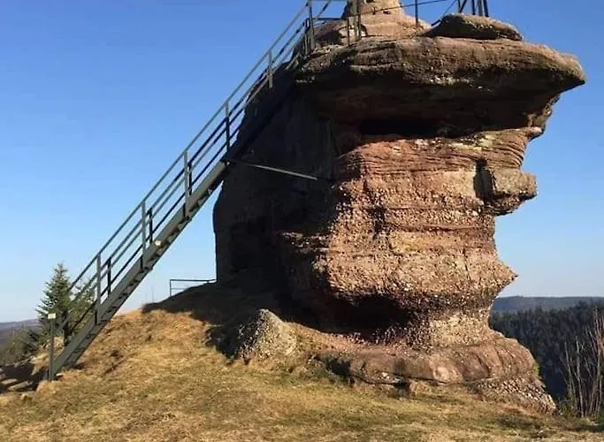 Prázdninový dům Chaleureux Des Brocards Aux Pieds Des Sapins 3 Etoiles Allarmont