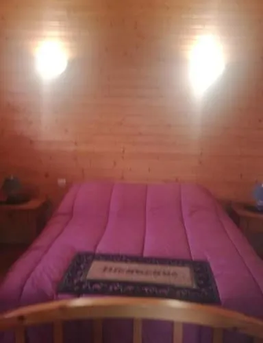 Chaleureux Des Brocards Aux Pieds Des Sapins 3 Etoiles * Allarmont