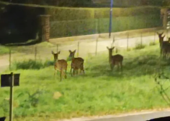 Prázdninový dům Chaleureux Des Brocards Aux Pieds Des Sapins 3 Etoiles