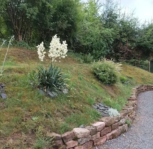 Chaleureux Des Brocards Aux Pieds Des Sapins 3 Etoiles