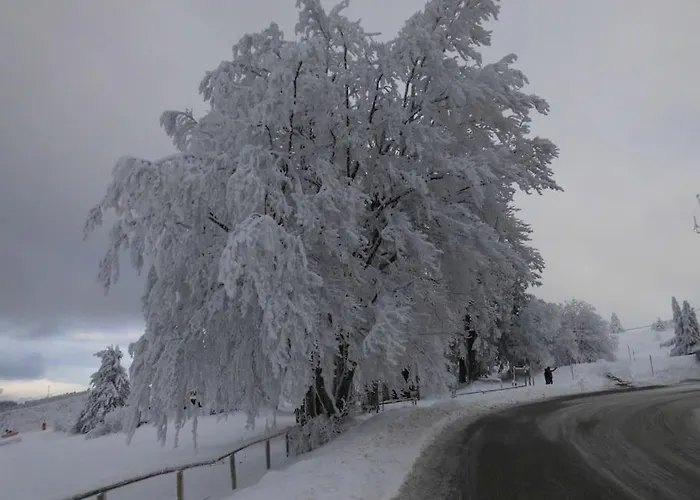 Prázdninový dům Chaleureux Des Brocards Aux Pieds Des Sapins 3 Etoiles *