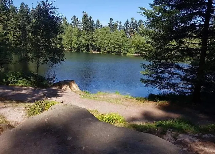 Chaleureux Des Brocards Aux Pieds Des Sapins 3 Etoiles * Allarmont