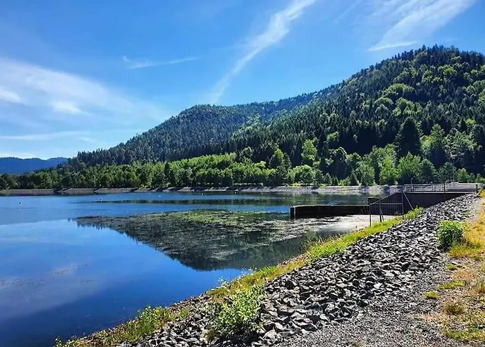 Chaleureux Des Brocards Aux Pieds Des Sapins 3 Etoiles Prázdninový dům Allarmont