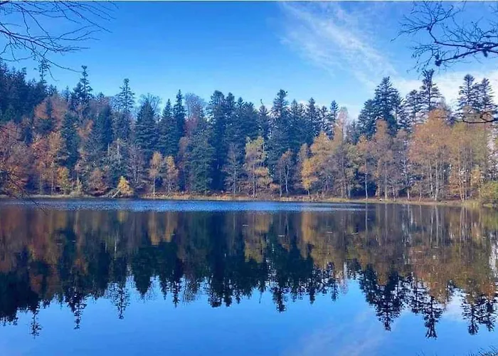 Chaleureux Des Brocards Aux Pieds Des Sapins 3 Etoiles