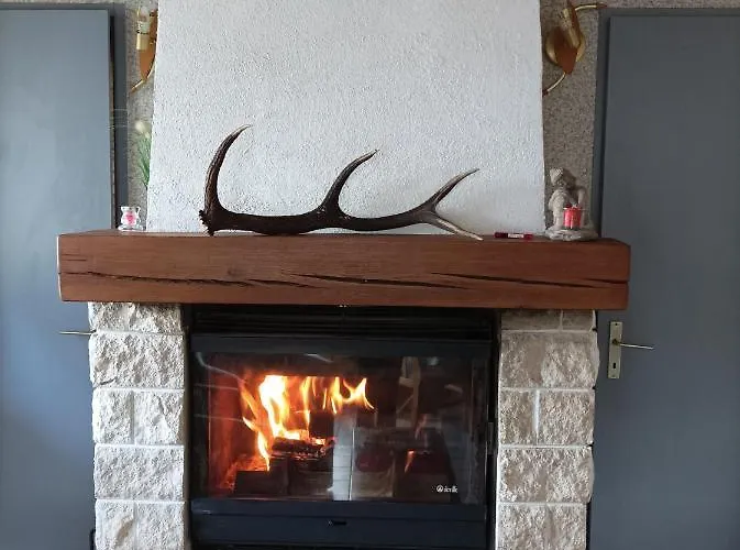 Chaleureux Des Brocards Aux Pieds Des Sapins 3 Etoiles * Allarmont