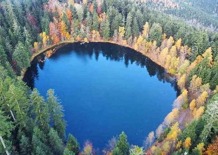 Chaleureux Des Brocards Aux Pieds Des Sapins 3 Etoiles Allarmont